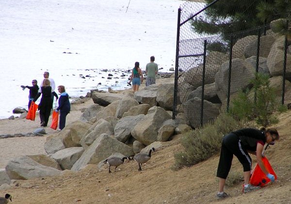 1,546 pounds of trash found on South Shore