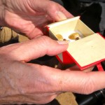 Sen. Dianne Feinstein shows off a pair of earrings made from invasive clam shells found in Lake Tahoe. Photo/Kathryn Reed