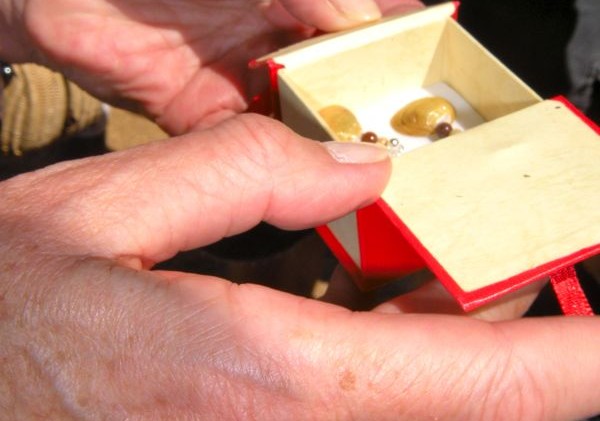 Minuscule clams threaten Lake Tahoe