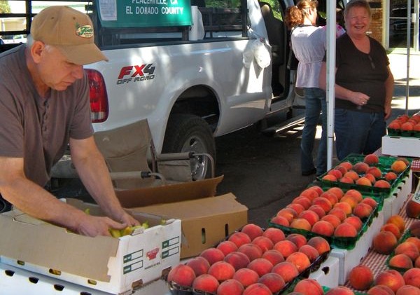 4 weeks left of SLT farmers’ market