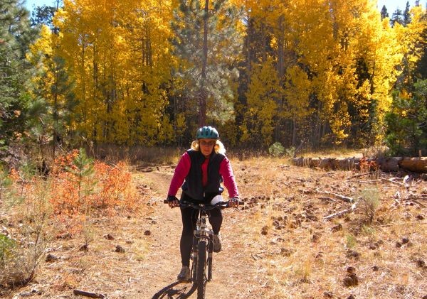 Cycling through nature’s beauty