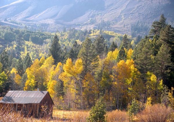 Sierra Nevada landscape awash in color
