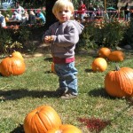 pumpkin Bryson Rozga, 2, of South Lake Tahoe checks out the pumpkins Saturday at the Camp Rich Oktoberfest.