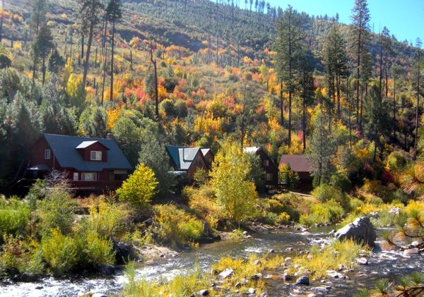 A river runs through the foliage