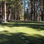 cemetery Happy Homestead Cemetery district is on the Board of Supervisors' Tuesday agenda.