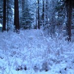 It's winter in Tahoe on Nov. 12. Photo/Kathryn Reed