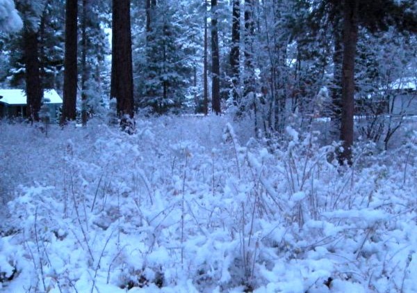 Snow covers Lake Tahoe