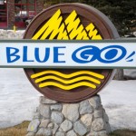 bluego-1 bluego-1