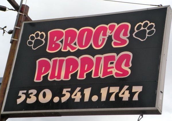 Protesters return to Broc’s