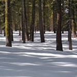 Pristine snow is inches from the groomed trail.