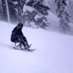 sit=skier A sit-skier plows through the fresh powder at Whistler on Monday. Photo/Kathryn Reed