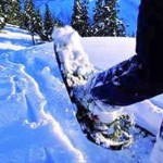 snowshoe