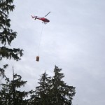 A helicopter lifts a hay bale to slopes of Cypress Mountain near Vancouver on Jan. 27. Photo/Kathryn Reed