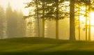 old greenwood Old Greenwood golf course is in bankruptcy. Photo/Provided