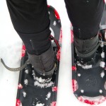 snowshoe