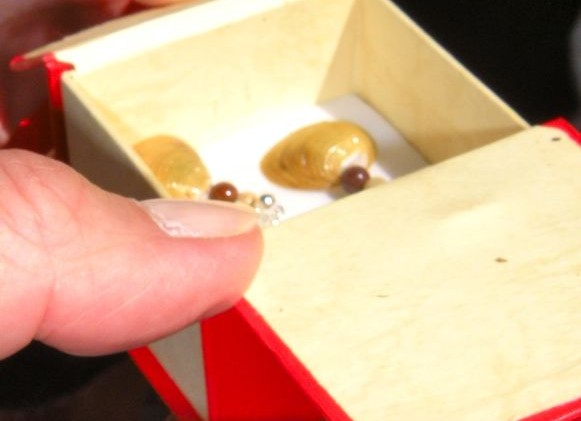 Summer eradication of invasive clams in Lake Tahoe