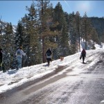 Snowshoeing on Highway 89 near Emerald Bay. Photos/Kathryn Reed