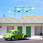 Green Bug9