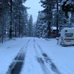 snow First tracks of a different kind. Photo/Kathryn Reed