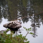 Floating Island Lake 