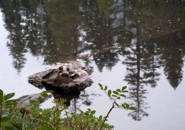 Trek to top of Mt. Tallac opens up another world