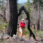 Sue Wood along the trail near Fallen Leaf Lake.