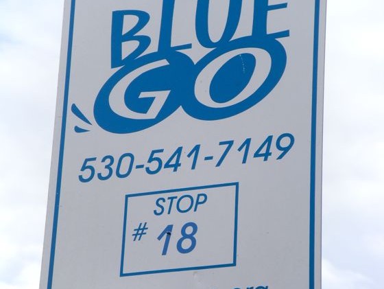 MV Transit set to put brakes on South Shore bus service
