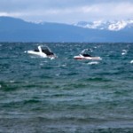 Boating inspections are changing at Lake Tahoe this summer. 