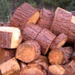 firewood USFS firewood permits in the basin available June 1. Photo/Kathryn Reed
