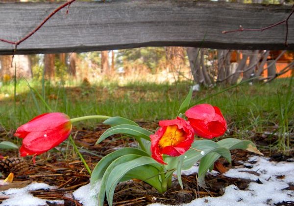 Winter popping up for holiday weekend