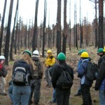 forest Project Learning Tree members get an education in forests and fires. Photo/Kathryn Reed