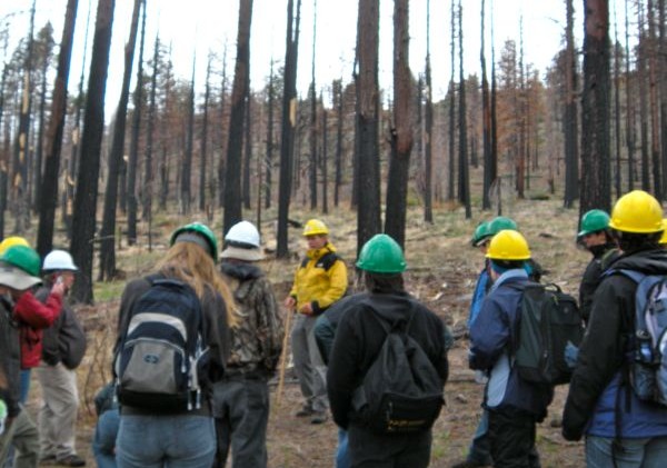 Environmental educators get lesson about Angora Fire