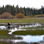 paddle So much water exists that a kayaker has a lagoon to paddle through before reaching Trout Creek on May 14. Photo/Kathryn Reed