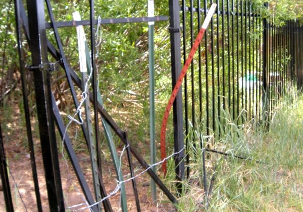 Vandals have CTC rethinking Upper Truckee Marsh access