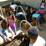 Bijou and South Tahoe High students start a community garden. Photos/Kathryn Reed