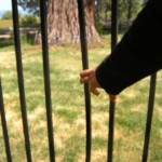 Slats on a private fence have been marred.