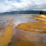 Near shore clarity is not addressed in the TMDL.
