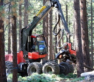 LTCC, Bijou Park fuel project to be done without chain saws