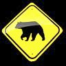 bear bear