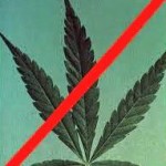 pot pot