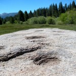 Indentations in the granite are from the Washoe making food.