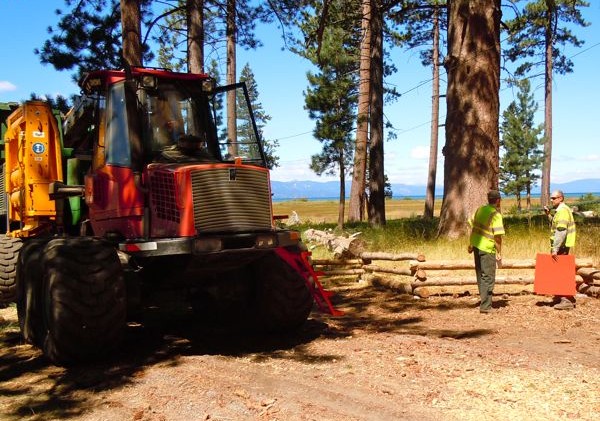 Upper Truckee Marsh tree thinning project wraps up