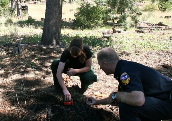 Firefighters pounce on Meyers brush fire