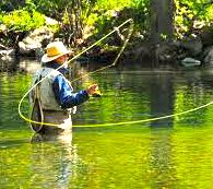Fly fishers unknowingly transporting invasive species