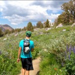 Oliver Wong hikes through wildflowers near Lake Winnemucca. Photos/Kathryn Reed