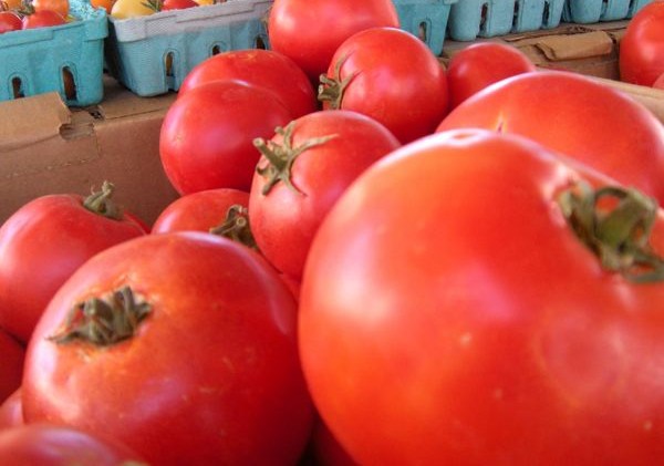People picking Calif.’s tomatoes can’t afford them