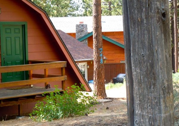 Property owners finding trees marked without their consent