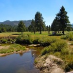 washoe-2 Lake Tahoe Golf Course and the eroding Upper Truckee River in Meyers. Photos/Kathryn Reed