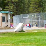 Bijou elementary students exceeded expectation on state test scores. 