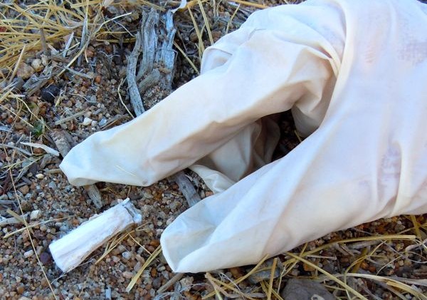 Tahoe-ites rid lake beaches, riverways of tons of trash
